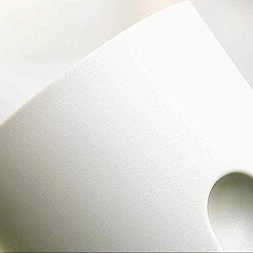 AITREASURE Plastic Plant Pots Self Watering Flower Planters Flower Pots for Indoor Outdoor with Cotton (3 Pack-4.1\'\' Clear Planter)