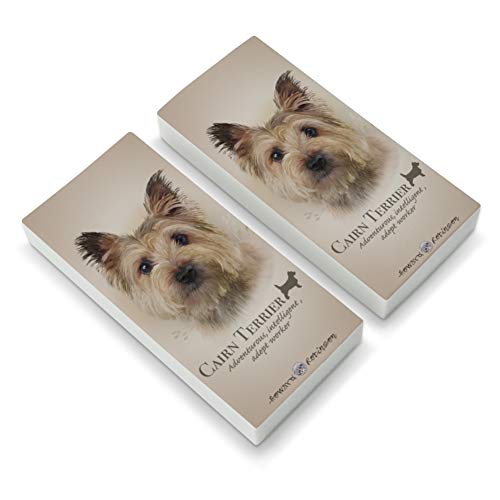 Cairn Terrier Dog Breed Eraser Set of 2