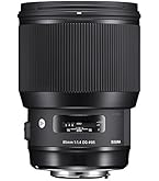 Amazon.com : Sigma 135mm f/1.8 DG HSM Art Lens for Nikon F