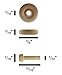 Wood Wheels - 100 Pack with Free Axle Pegs - Made in USA (.75