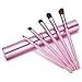 Aisxle 5 Piece Eye Makeup Brush Kit - Beauty and Travel Set - All In One - Soft Bristles and Easy to Carry - Easy to Use - Professional Eyeshadow Brush Makeup Kit - Full Set of Eye Brushes Whenever You Need Them - Perfect for Smokey Eye and More