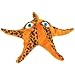 TY Beanie Baby - WISH the Starfish