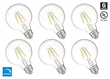 Hyperikon G25 LED Vintage Filament Bulb, Dimmable, 5W (40W Equivalent), 500 lumen, 2700K (Warm White), Medium Base (E26), CRI 80+, UL-Listed - (Pack of 6)