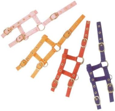 Amesbichler Shetty Foal Mini Foal Headcollar Adjustable Nylon Also for Wooden Horse
