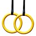 Gymnastic Rings with Straps - Crossfit Training Workout Rings - Train for Gymnastics or Just for Fun - Better and More Durable Than Wood