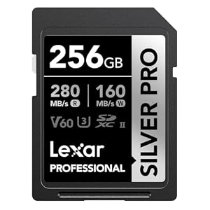 Lexar Professional SDXC 256GB SILVER PRO UHS-II V60 最大読取280MB/s 最大書込160MB/s 国内正規品 国内サポート可