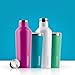 Corkcicle Canteen Waterman Collection-Water Bottle & Thermos-Triple Insulated Shatterproof Stainless Steel, 25 oz, Waterman Grey