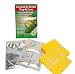 VivaTrap! Cucumber Beetle Trap with Multi Pheromone Lure (2 Pack) primary