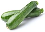 2025 Early Bird! Zucchini Seeds for Planting