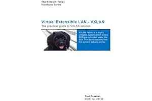 Virtual Extensible LAN (VXLAN): A Practical guide to VXLAN solution