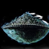 カスタマー画像