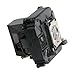 Litance Projector Lamp Replacement for Epson ELPLP68 / V13H010L68 PowerLite Home Cinema 3010, 3020, 3010e, 3020e Projectors and more