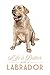 Yellow Labrador Retriever - Life is Better (100% Cotton Kitchen Towel)