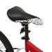 Kent Super 20 Boys Bike, 20-Inch