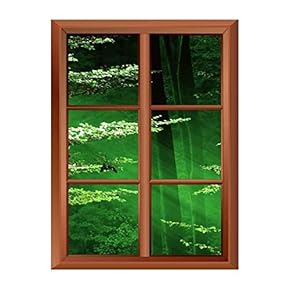 Removable Wall Sticker/Wall Mural - Lights of The Forest - Creative Window View Vinyl Sticker - 24"x32"