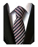 Secdtie Men's Narrow Stripe Pattern Tie Navy Blue Red White Party Necktie TW06