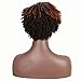 FASHION IDOL Synthetic Dreadlock Wigs Short Faux Locs Wig Ombre Color Afro Twist Wig for African American 4C Wig for Black Women