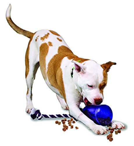 PetSafe Busy Buddy Tug-A-Jug Meal Dispensing Dog Toy, Small