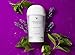 Freedom Natural Deodorant for Women & Men with 24-Hour Odor Protection, Paper Tube Packaging - Natural Ingredients - Aluminum & Plastic Free, Magic Lavender, 1.9oz (1-Pack)
