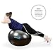 GOFLX Exercise Ball, 55cm / 65cm / 75cm Yoga Birthing Stability Swiss Ball with Pump - 200kg (440lbs) Weight Capacity