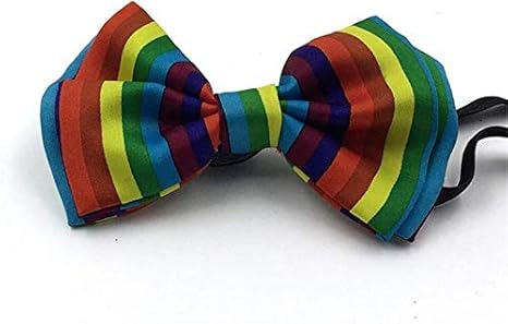 Amazon Co Jp 蝶ネクタイフォーマル ファッションダブル蝶ネクタイシルク子ファッションハンサムな虹色の繊細な花のカラー 調整可能な事前に結ばれた蝶ネクタイ ホーム キッチン