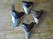 Genuine Megalodon Fossil Shark Tooth 4 to 5 Inches
