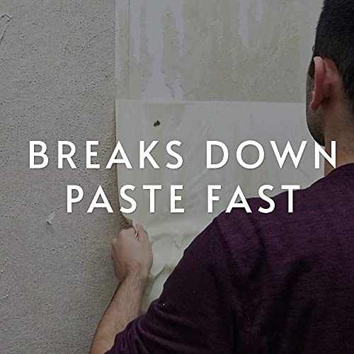 ROMAN Products Piranha Gel Spray Wallpaper and Paste Remover, 1 Gallon