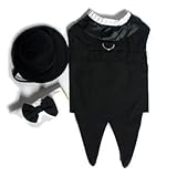 Dog Tuxedo w/ Formal Tails- Black, XXL (Chest 26-31