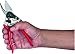Felco Small & Light Hand Pruner with 0.8-inch Cutting Capacity, 7.25inthumb 2