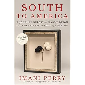 South to America: A Journey Below the Mason-Dixon to Understand the Soul of a Nation