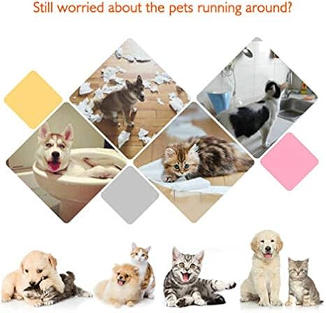 best dog remote trainer