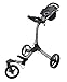 Bag Boy TriSwivel II Push Golf Cart, Silver