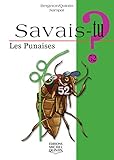 Les punaises by 