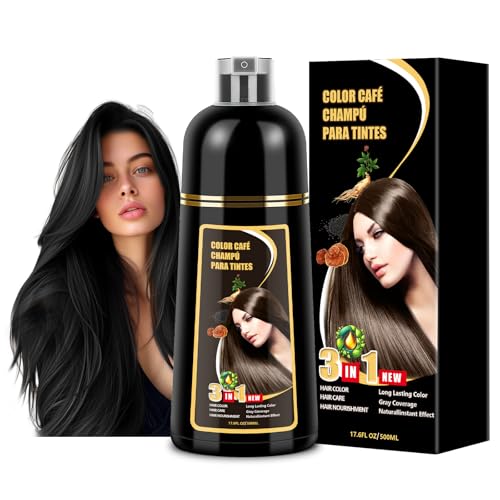Shampoo con Tinte 3 en 1 Hair Dye Shampoo Negro Cubre Canas al Instante Extracto Jengibre y Ginseng Tratamiento Capilar Colorante 500ml para Todo Tipo de Cabello Mujer y Hombre