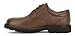 Dockers Men's Shelter Plain-Toe Oxford