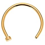 Gold-Tone Stainless Steel Nose Hoop 18G 5/16