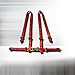 Racing Seat Belt 4 Point Harness - Red
