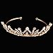 Santfe Bridal Wedding Prom Rhinestone Crystal Crown Hairband Headband Tiara Hair Jewelry for Womens Girls (style gold-1)