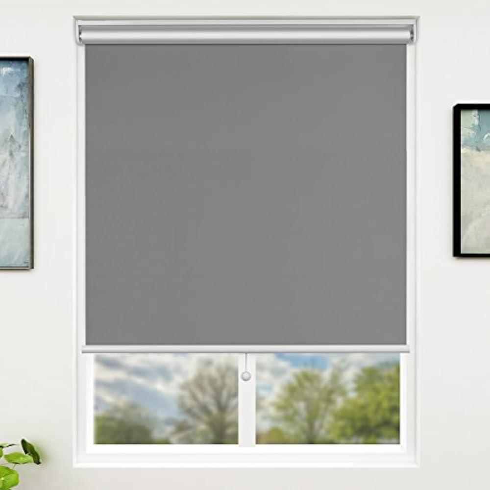 Blackout Roller Blinds Shades Cordless Spring System, Room Darkening