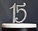 15 Quinceañera Birthday Cake Topper | Premium Bling Crystal Rhinestone Diamond Gems | 15th Birthday or Anniversary Party Decoration Ideas | Quality Metal Alloy | Perfect Keepsake (15 Silver)