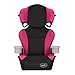 Evenflo Big Kid Sport High Back Booster Car Seat, Sequioa