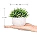 Lvydec 2 Pack Artificial Potted Plants, Mini-Sized Fake Topiary Plants in Pots for Bathroom Office Desk Shelf Kitchen Decoration