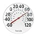 Taylor Precision Products Patio Thermometer (18-Inch) primary