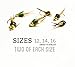 BH Copper John Fly Fishing Nymph Trout Fly Assortment - 6 Flies (Copper)