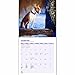 Magnet & Steel 2017 Bull Terrier Calendar, Traditional Wall Calendar