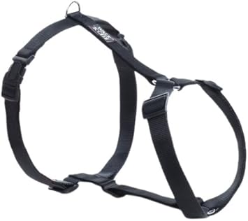 walk r cise dog harness