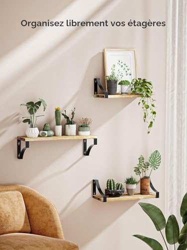 Pipishell Set of 3 Wall Shelves, Wood and Metal Wall Shelves, Rustic Metal Wire Storage Shelves, Maximum Load 10 kg (Brown)