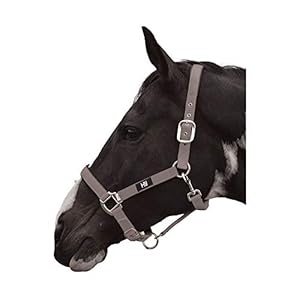 Hy Grand Prix - Cavezza