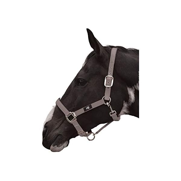 Hy Grand Prix - Cavezza