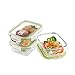 LIVING EXPRESS 3 Pieces Glass Food Storage Container Set with Snap Locking Lid,Airtight,Microwave,Oven,Freezer,Dishwasher Safe,BPA-Free (Large Square)
